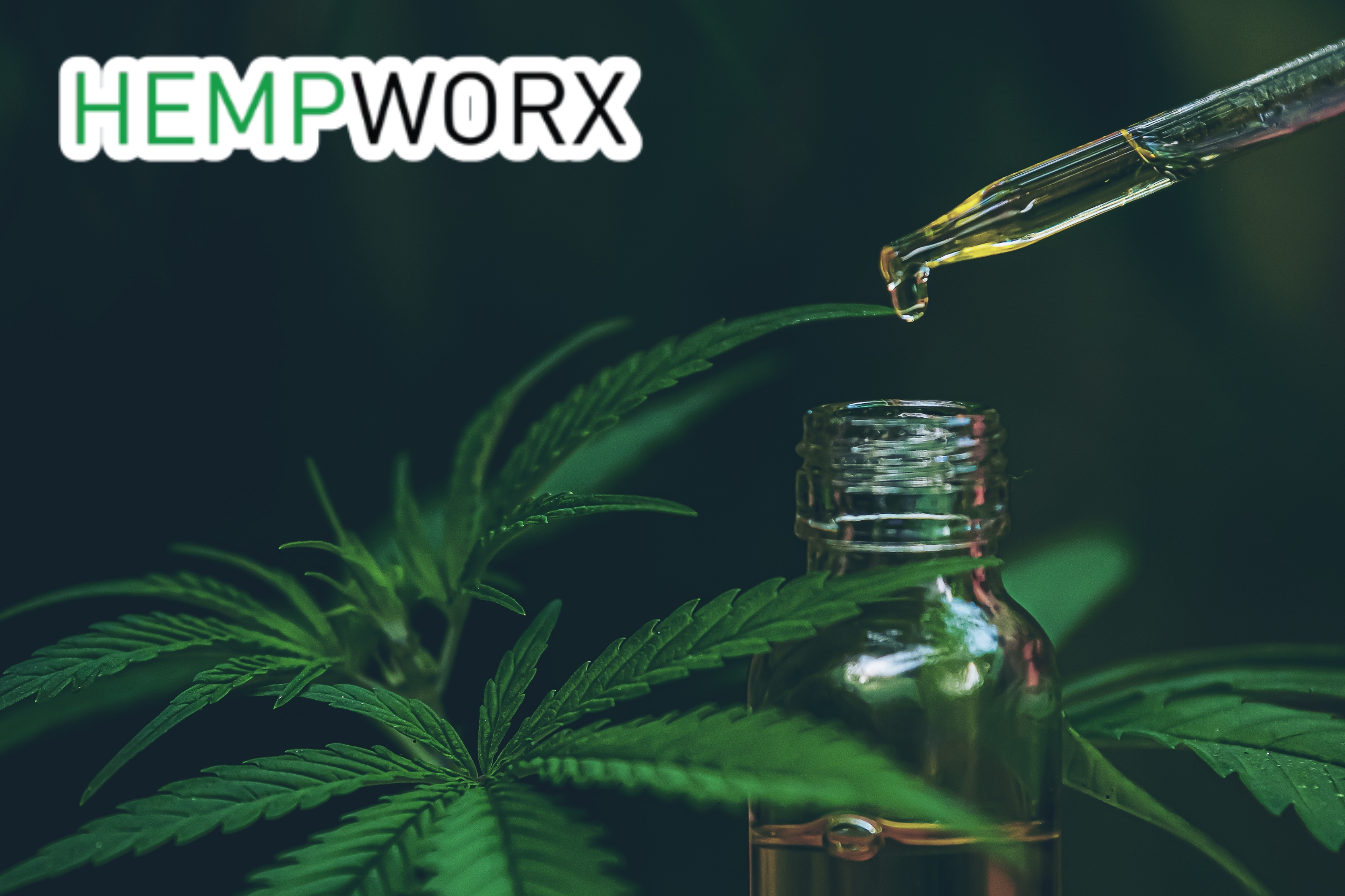 What Real People Are Saying: An Honest Look at Hempworx CBD Oil